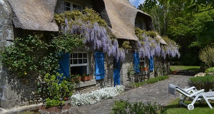 New - Charming thatched cottage in the water with swimming pool