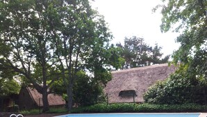 A swimming pool with a grassy area in front, surrounded by trees and a building with a thatched roof. - New - Charming thatched cottage in the water with swimming pool  (Pointe de Grignallou)