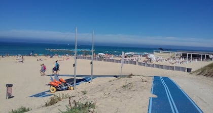 SEA VIEW T2 BIS FREE WIFI COMFORT TERRACE PARKING INCLUDED GARAGE OPTION