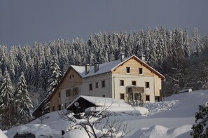 Exterior - Chalet style apartment, quiet environment and mountain sports nearby (La Bresse)