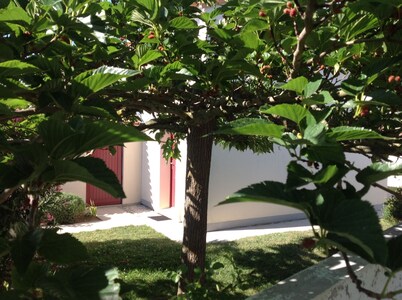 House in secure private residence with swimming pool and bicycles