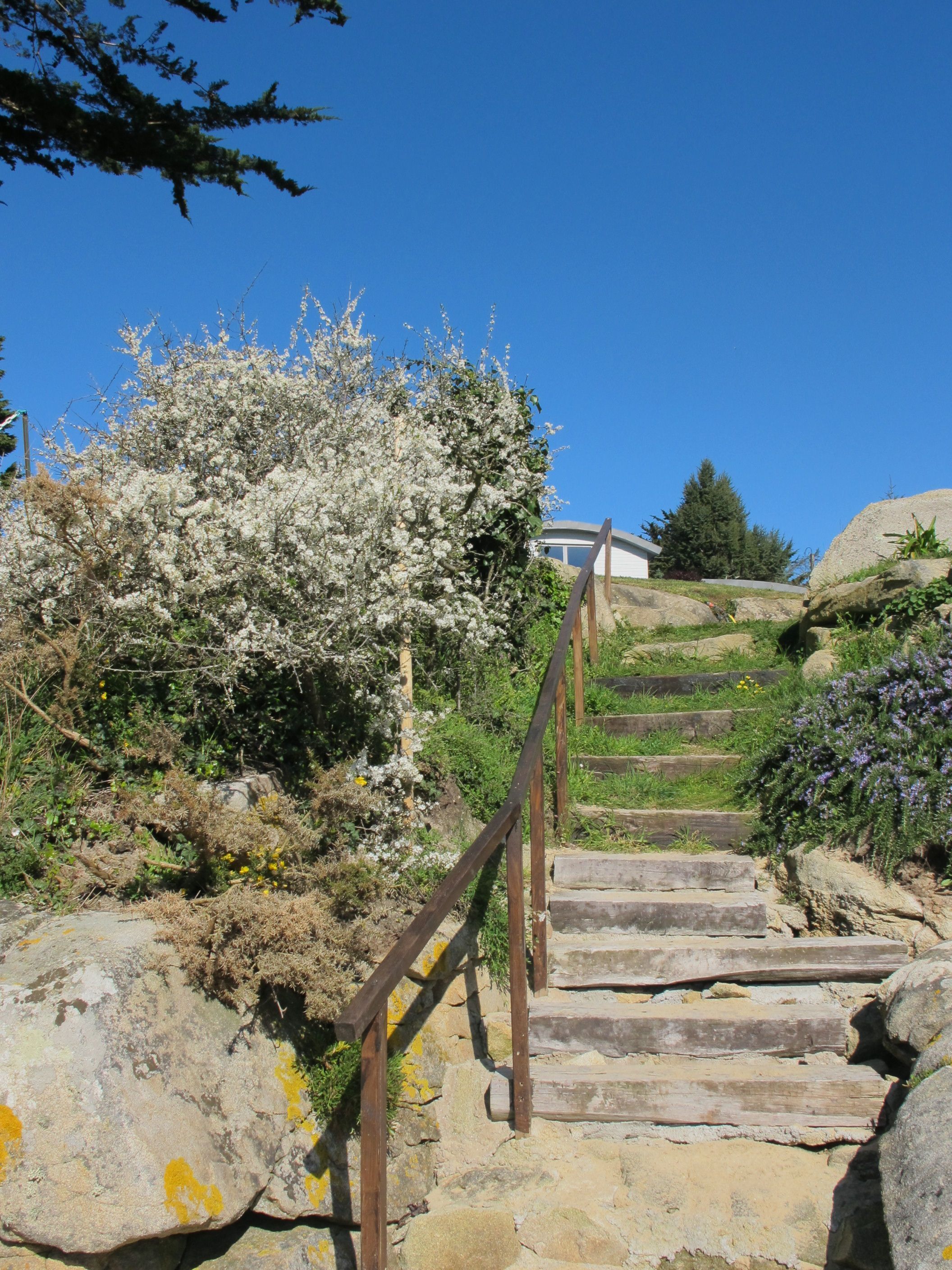 Uma escadaria de pedra serpenteia por uma colina, cercada por vegetação, com um edifício branco ao fundo.