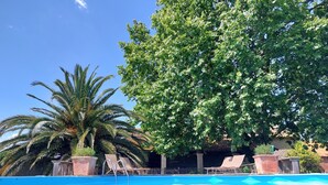 A clear blue swimming pool with lounge chairs and palm trees. - La Maison des Vendangeurs***, Gîte with swimming pool and bicycles  (Beaucaire)