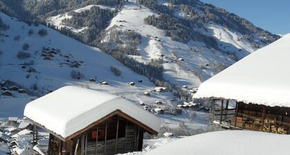 Gite 8 Personen, geräumig, mit Panoramablick, Arêches (73)