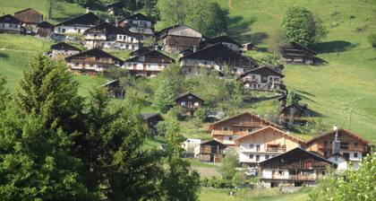 Gite 8 Personen, geräumig, mit Panoramablick, Arêches (73)