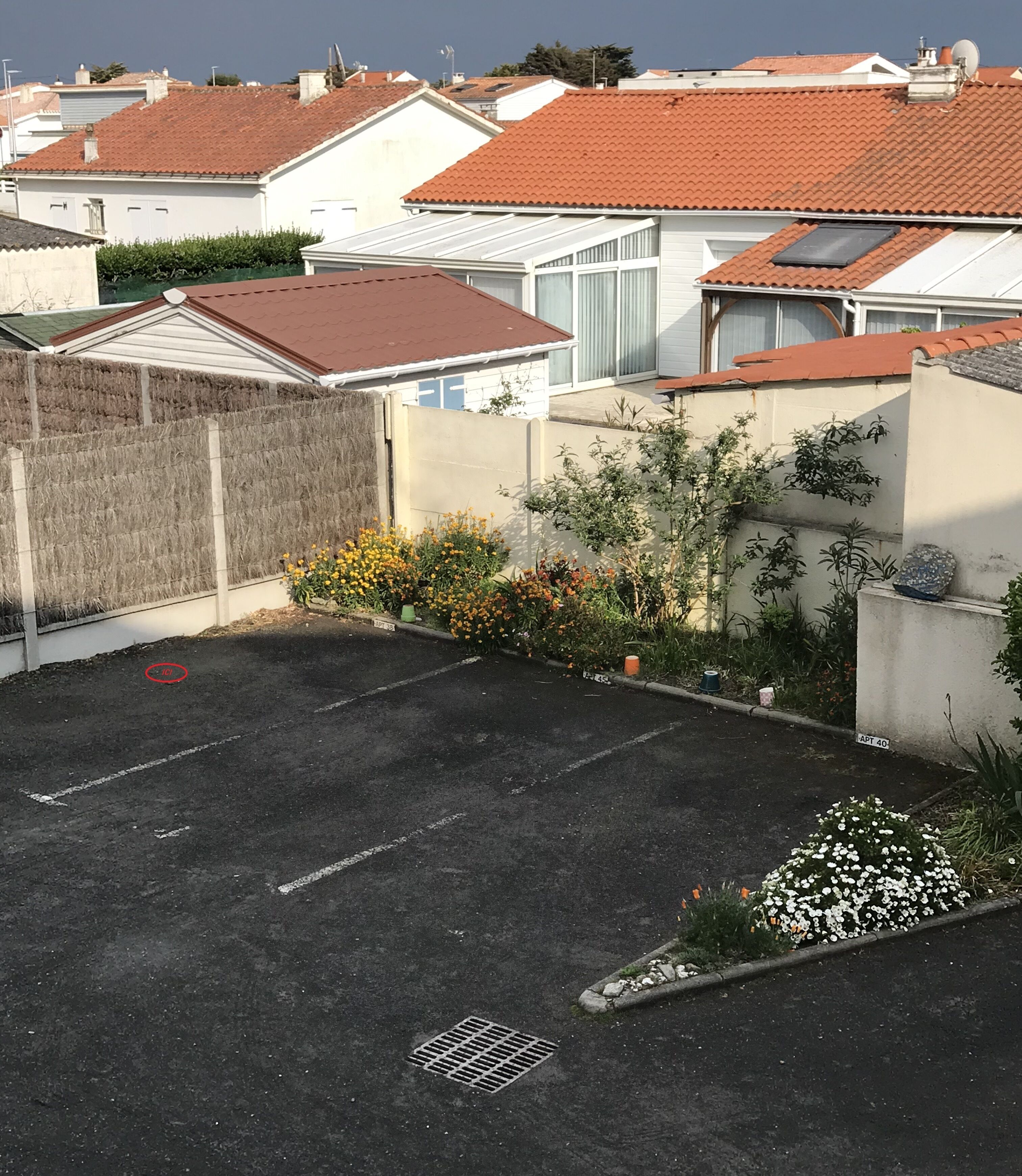 A residential parking area with a paved surface, a metal grate, and a small garden with various plants and flowers.