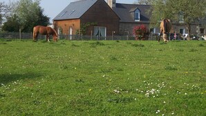 A rural property with a large grassy field, a wooden barn, and a stone house with a sloped roof. - House, The sea field Plouha (Plouha)