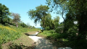A paved path through a green landscape with trees and wildflowers. - Recently built house, nice setting, 500 m from sea, at heart of pedestrian hill (Tréveneuc)