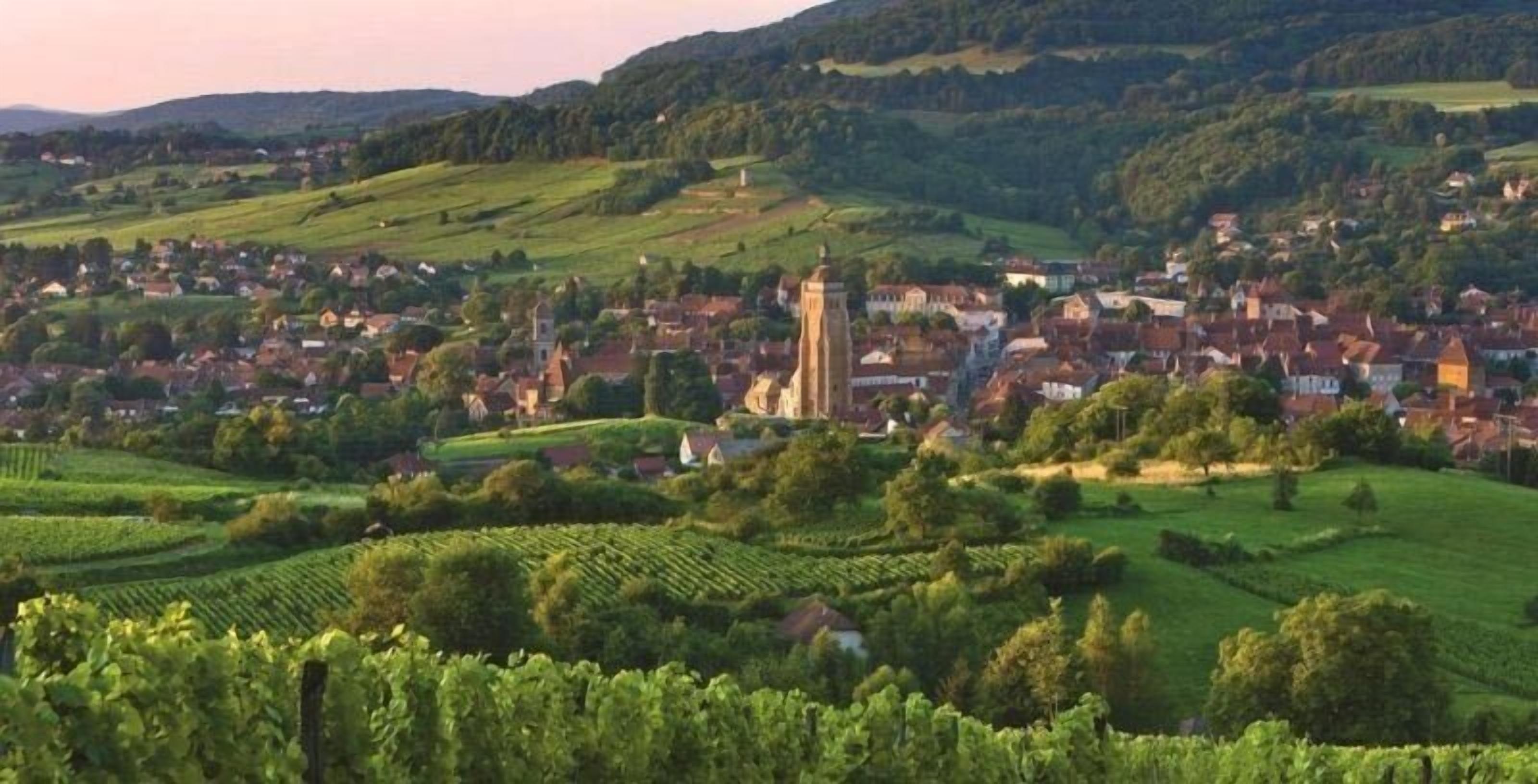 A town with vineyards, a prominent church, and rolling hills in the background.