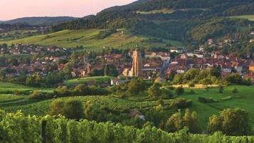 A town with vineyards, a prominent church, and rolling hills in the background.