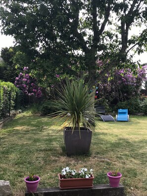 Ein Garten mit einem großen Baum, einem blauen Stuhl und zwei Blumenkübeln.