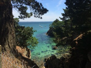 Un paysage côtier caractérisé par une eau turquoise et limpide, un terrain rocheux et des pins.