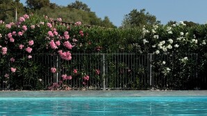 Une piscine aux eaux cristallines, entourée d’une clôture en métal et agrémentée d’arbustes en fleurs en arrière-plan.