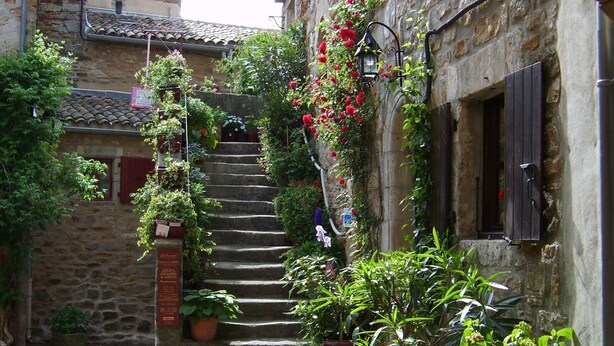 A narrow stone staircase leading up to a building with a rustic stone facade, surrounded by lush greenery and potted plants. - Sud Adèche in VINEZAC Cottage in the heart of an olive grove  (Vinezac)