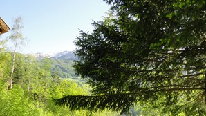 A picnic table in a natural setting with a view of mountains in the background.