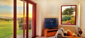 Una televisión, una chimenea, un reproductor de DVD, libros
