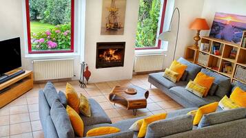 TV, fireplace, DVD player, books