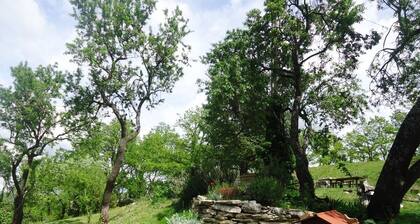 A Méthamis, gßte dans partie rénovée mas provençal habité, sud ventoux, nature