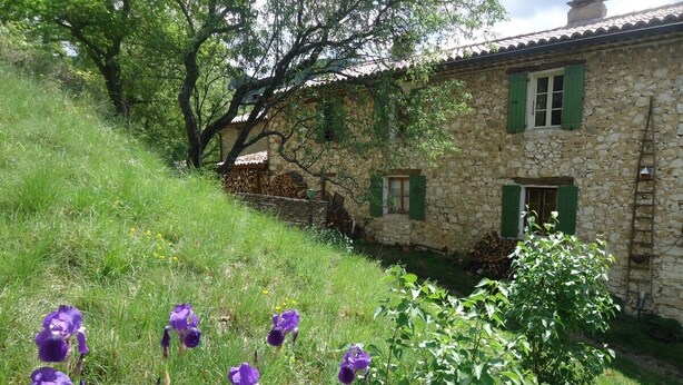 A stone building with green shutters, surrounded by grass and purple flowers. - Brand new gite in an authentic Provencal Mas, in south Ventoux (Méthamis)