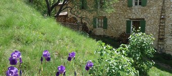 Brand new gite in an authentic Provencal Mas, in south Ventoux