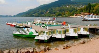 Freistehendes Ferienhaus, 7 min von Gérardmer