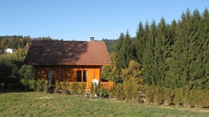 A wooden cabin with a tiled roof, surrounded by a grassy field and dense forest. - Detached chalet 7 minutes away from Gerardmer (Le Tholy)