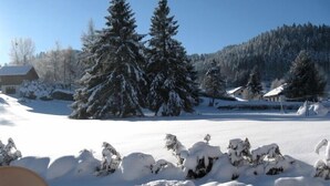 A snowy landscape with snow-covered trees and a clear sky. - Detached chalet 7 minutes away from Gerardmer (Le Tholy)