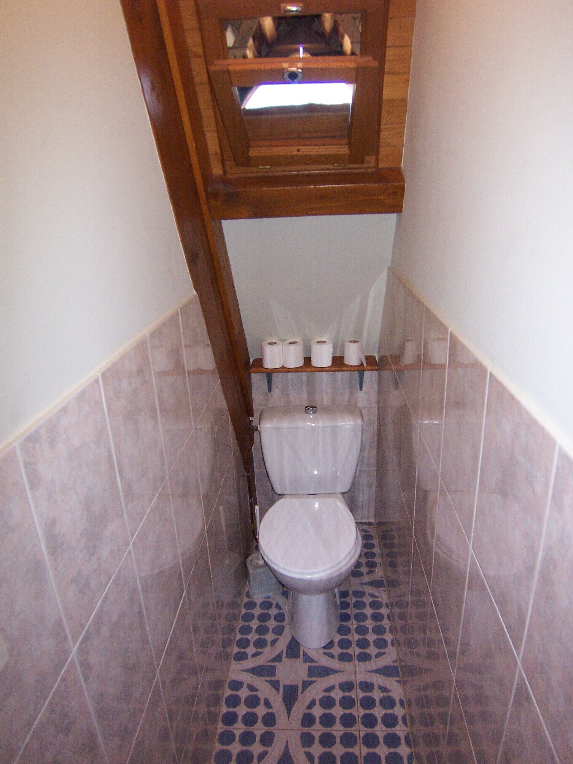 A small bathroom with a toilet, a shelf with toilet paper, and a patterned floor.
