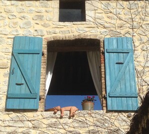 Un bâtiment en pierre avec une fenêtre ornée de volets bleus et une petite plante en pot posée sur le rebord.