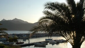 Ein Yachthafen mit vertäuten Booten, eine Palmenbaum und Berge im Hintergrund.