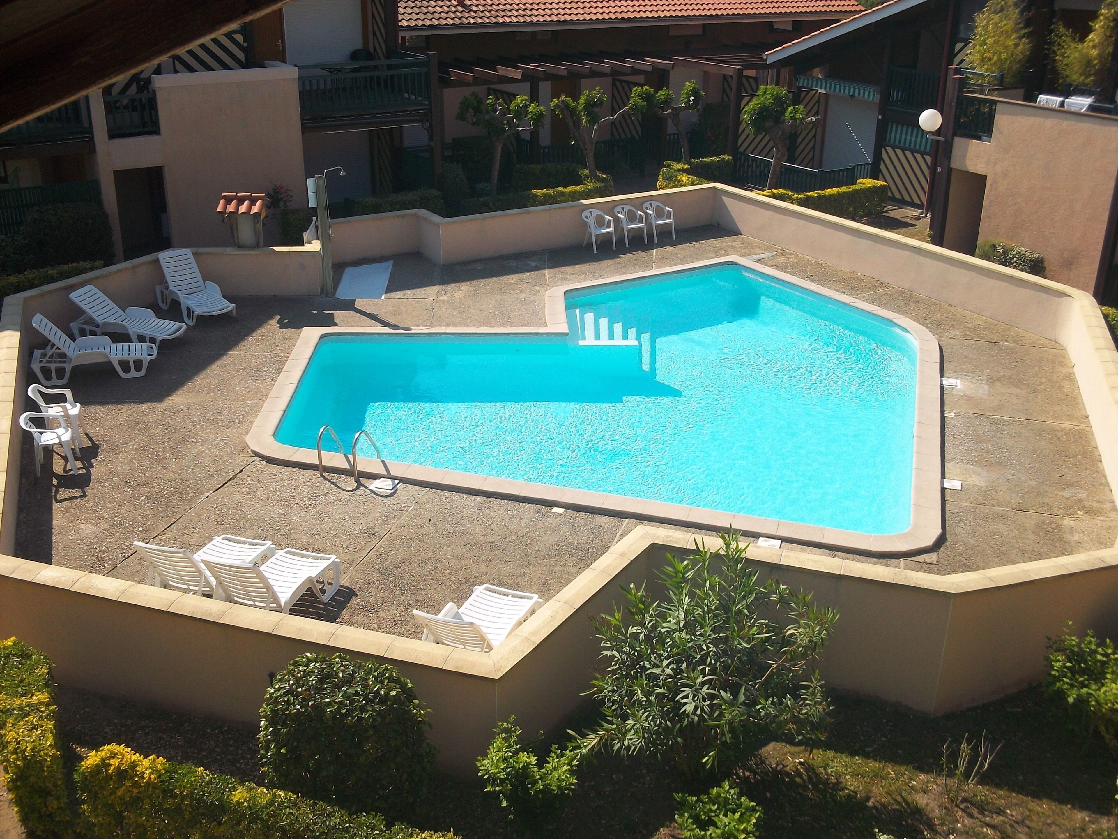 Una piscina en la azotea con sillones de descanso y una pequeña mesa, rodeada de follaje y un edificio con tejado de tejas.