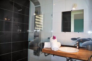 Ducha, secador de pelo y toallas