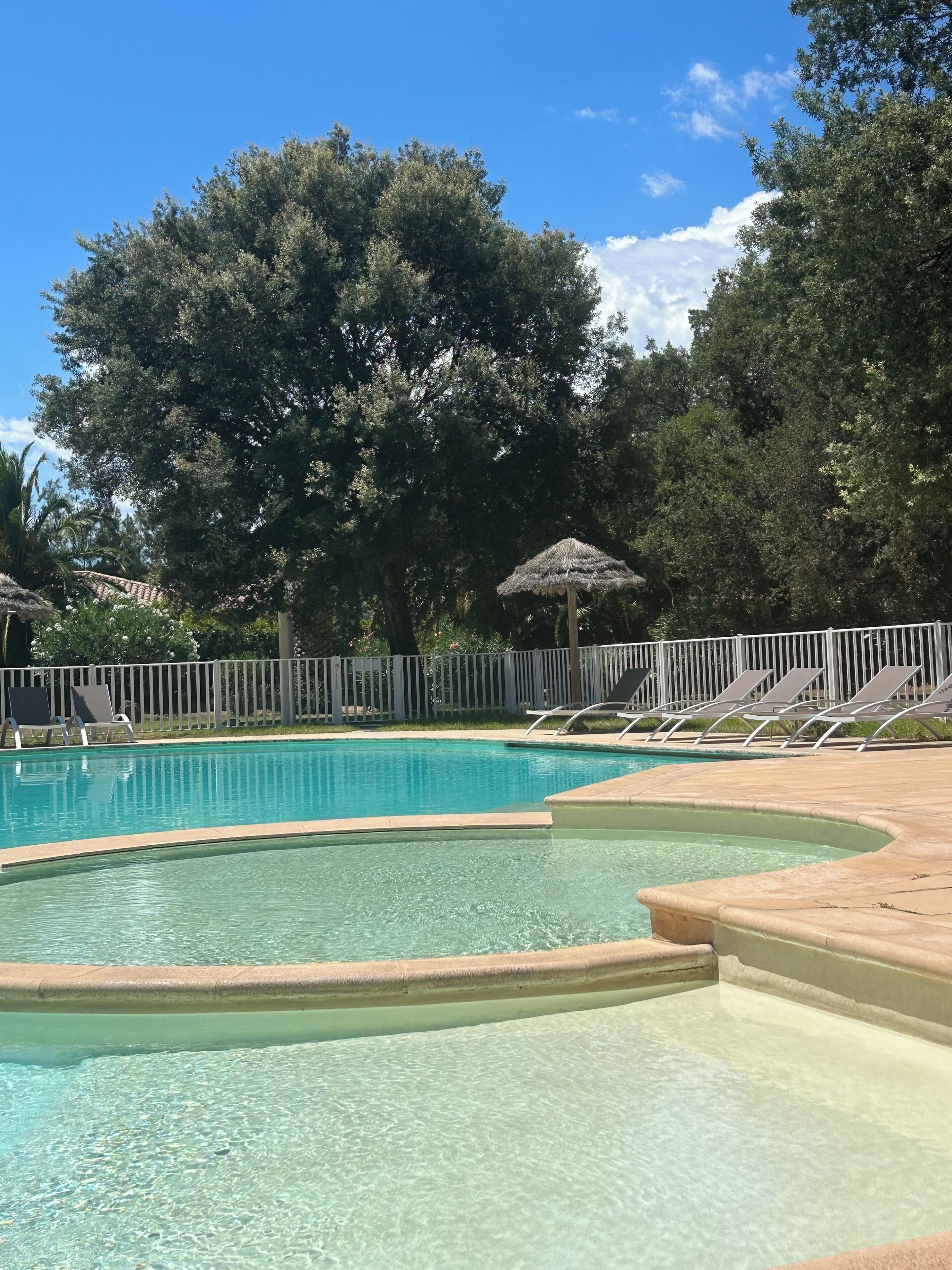 A swimming pool with clear water, surrounded by a white fence and shaded by trees.