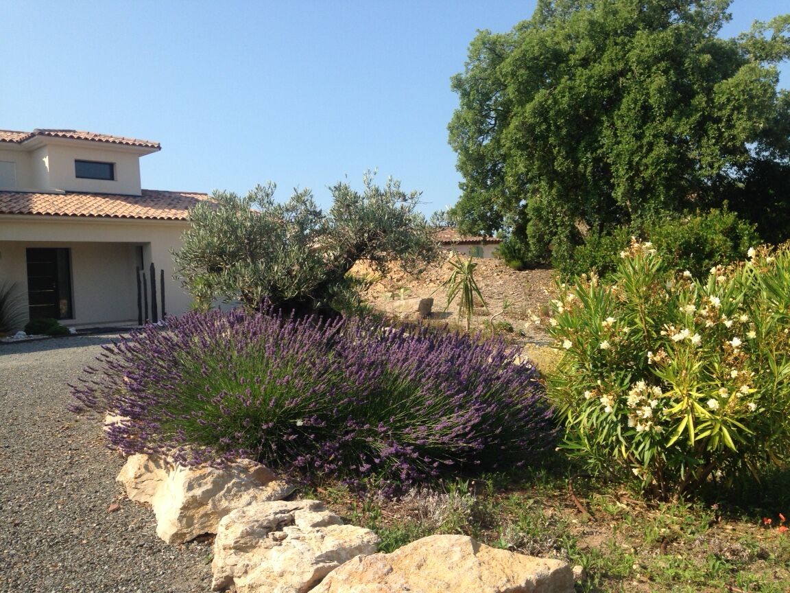 Une maison avec un toit en tuiles, une allée gravillonnée et un jardin agrémenté de lavande et de fleurs blanches.