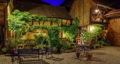 Adorable casa típica alsaciana, wifi gratuito