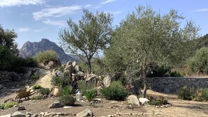 A dry, rocky landscape with sparse vegetation, a stone wall, and a mountain in the background. - Authentic village house: charm, tranquility, and nature, just 15 minutes from Saint-Florent (Saint-Florent)