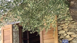A stone building entrance with wooden shutters and a sign reading "Place de la Siete". - Authentic village house: charm, tranquility, and nature, just 15 minutes from Saint-Florent (Saint-Florent)