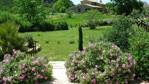 A stone house with a garden pathway leading to it, surrounded by lush greenery and flowering bushes. - Country cottage fully furnished, in private property, quiet. (Draguignan)