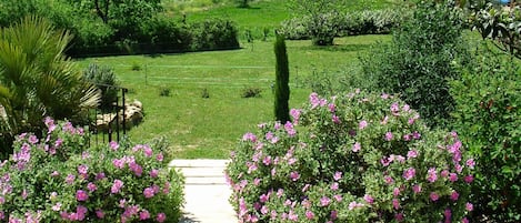A stone house with a garden pathway leading to it, surrounded by lush greenery and flowering bushes.