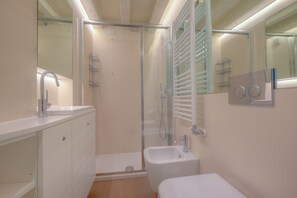 Shower, hair dryer, towels, toilet paper