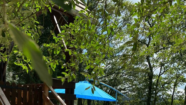 Un escalier en bois mène à une terrasse aménagée avec des sièges d’extérieur et un barbecue.