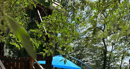 CHALET AU BORD DU LAC DES SETTONS