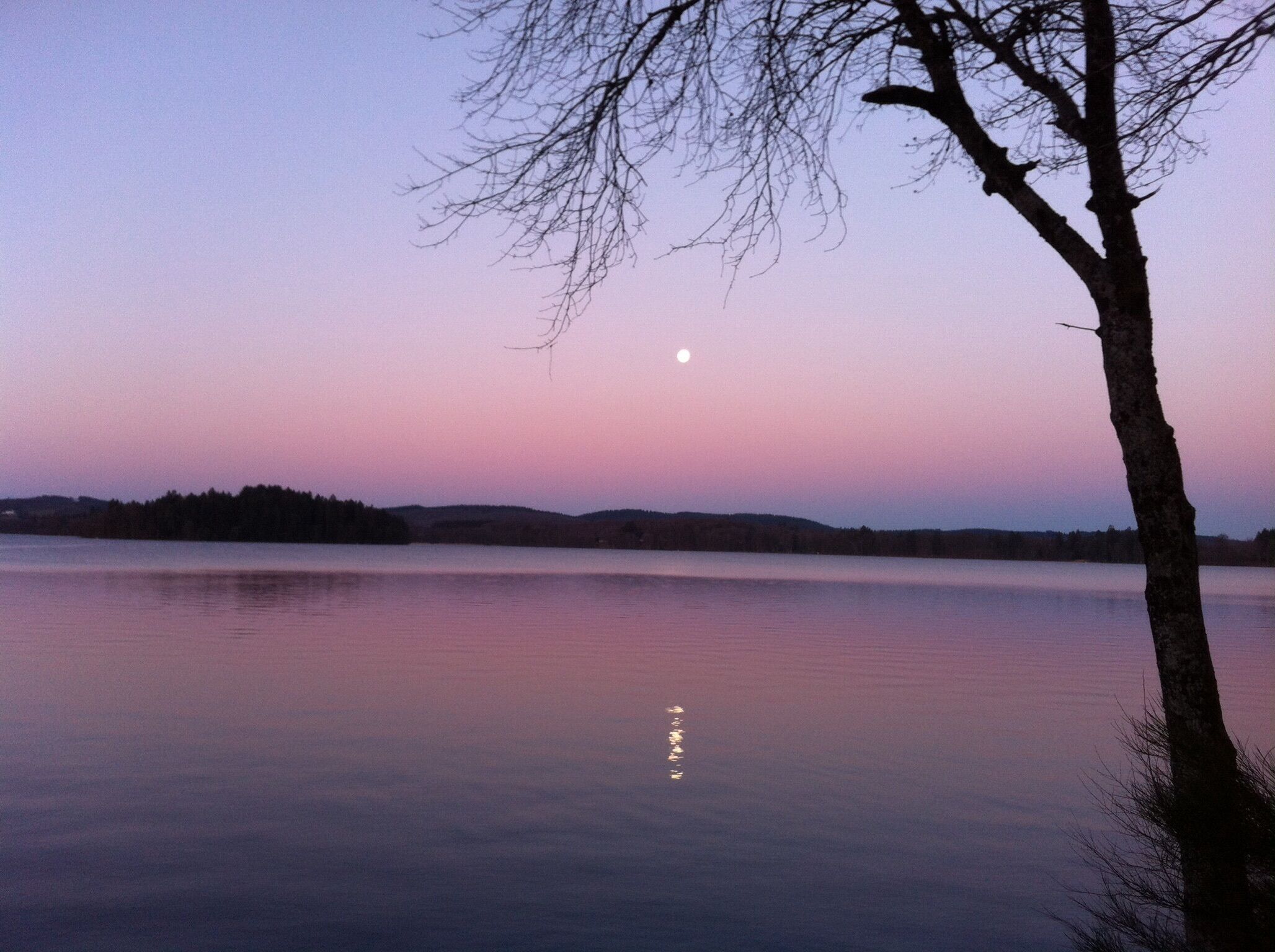 Ein ruhiger See im Abenddämmerung mit sichtbarischem Mond und Baumsilhouette.