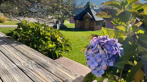 Une terrasse en bois offrant une vue sur un petit chalet en bois et un jardin agrémenté de fleurs d’hortensias.