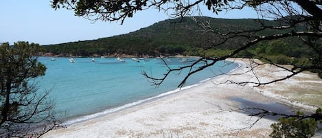 Vlak bij het strand