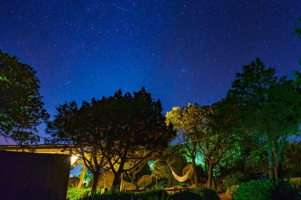 A night sky with stars, trees, and a hammock under a building.