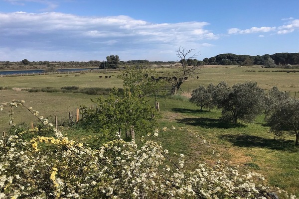 Vue depuis une chambre