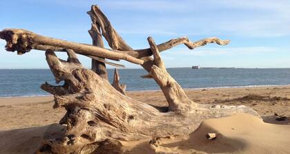 RELAXATION, BIKING, BEACHES