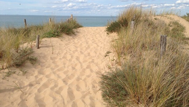 Een zandpad langs het strand, omringd door gras en houten palen.