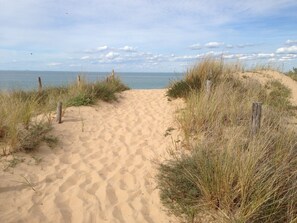 A sandy beach path leading to the sea, surrounded by grass and wooden posts.